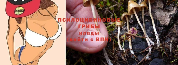 метадон Гусь-Хрустальный