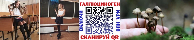 omg рабочий сайт  Северск  Псилоцибиновые грибы Psilocybine cubensis 